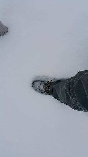 20161107_070657.jpg