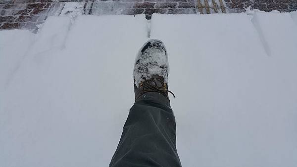 20161107_070654.jpg