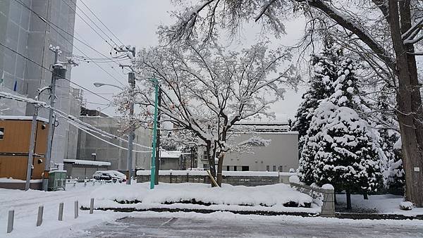 20161107_070819.jpg