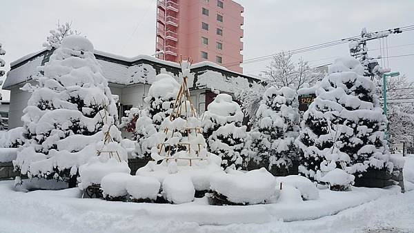 20161107_070902.jpg