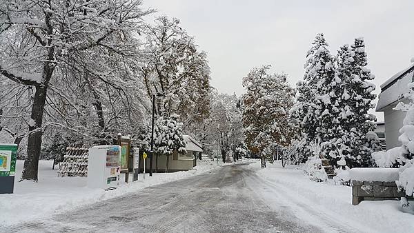 20161107_070859.jpg