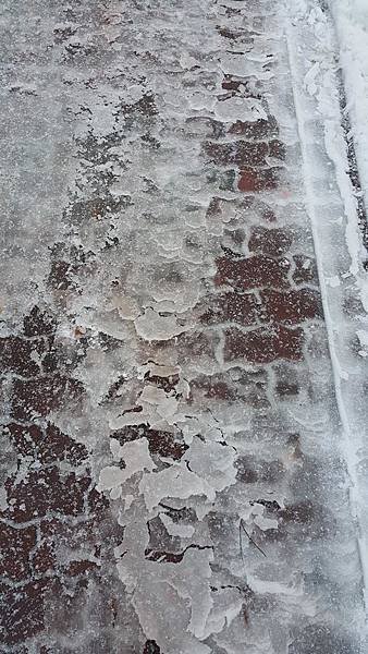 20161107_070829.jpg