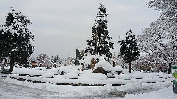 20161107_071127.jpg