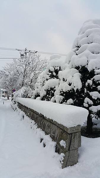 20161107_071227.jpg