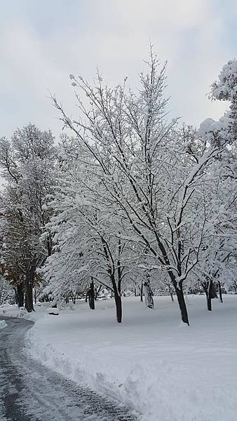 20161107_071545.jpg