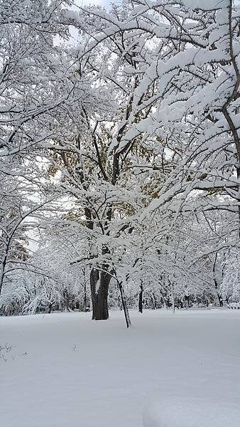 20161107_071715.jpg