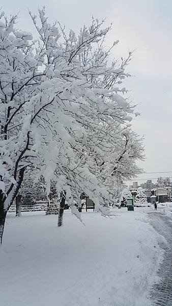 20161107_071723.jpg