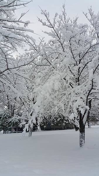 20161107_071721.jpg