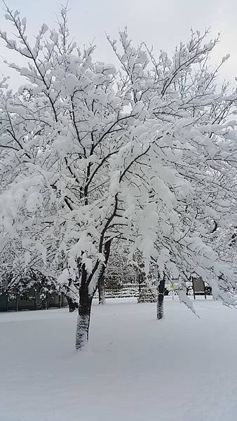 20161107_071722.jpg