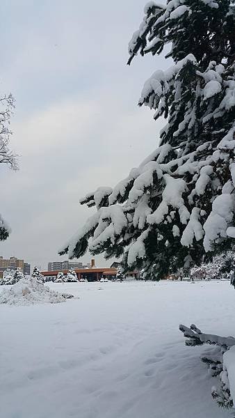 20161107_071729.jpg