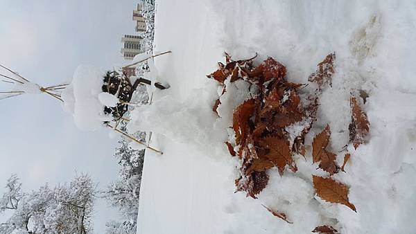 20161107_072808.jpg