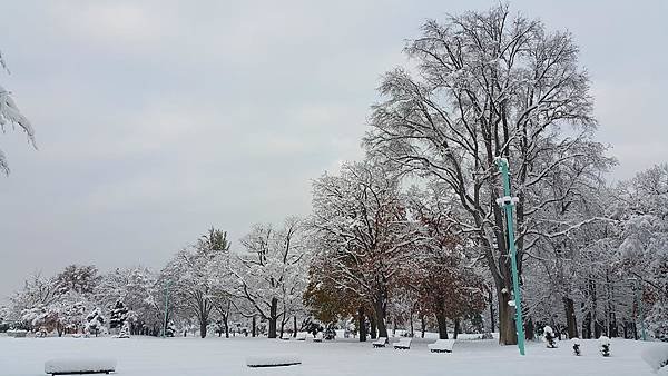 20161107_072037.jpg
