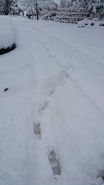 20161107_073140.jpg