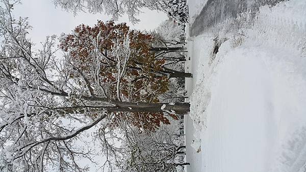 20161107_072901.jpg