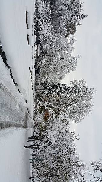 20161107_072852.jpg