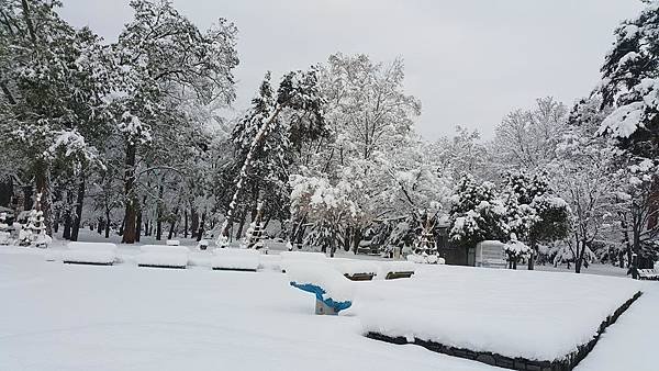 20161107_073305.jpg