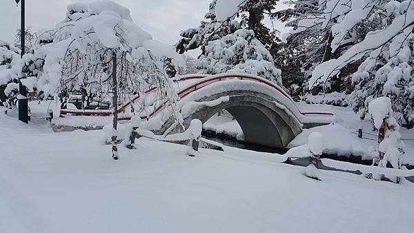 20161107_073236.jpg