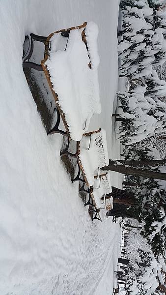 20161107_073506.jpg