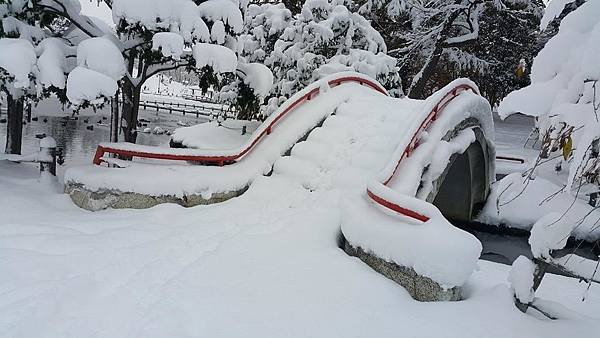 20161107_073312.jpg