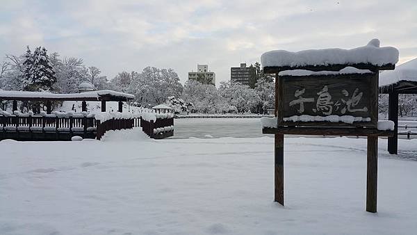 20161107_073536.jpg
