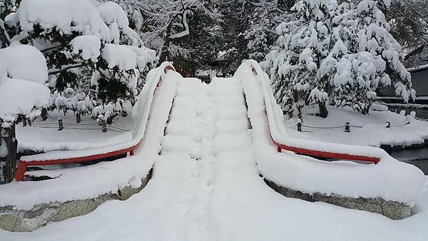 20161107_073334.jpg