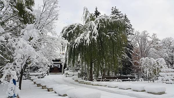 20161107_074314.jpg