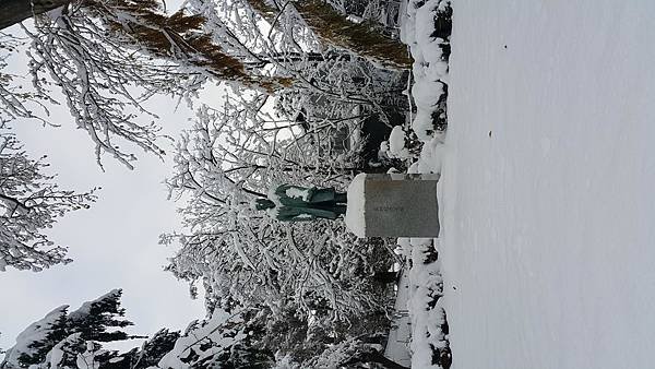 20161107_074052.jpg