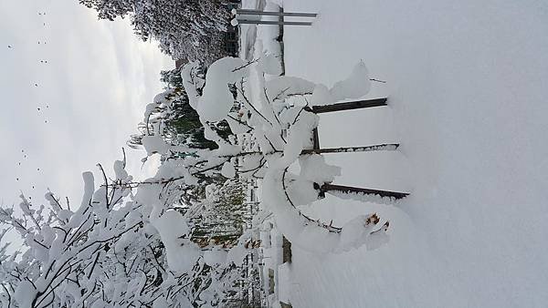 20161107_074223.jpg