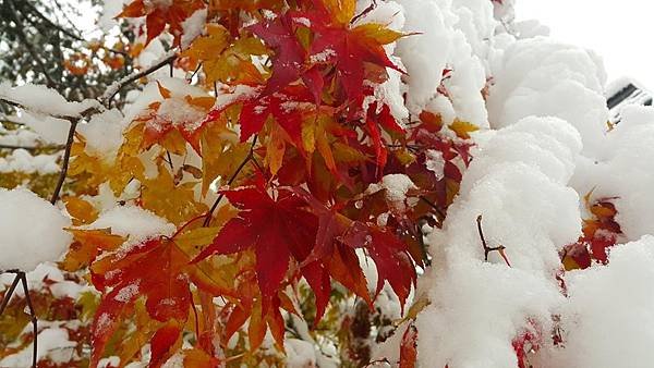 20161107_074556.jpg