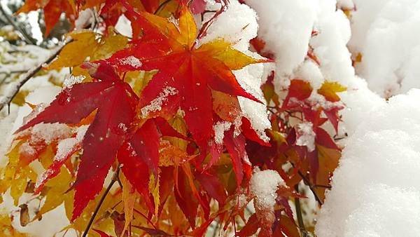 20161107_074524.jpg