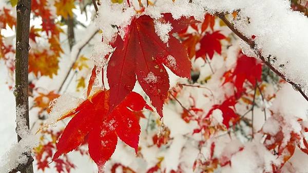 20161107_074728.jpg