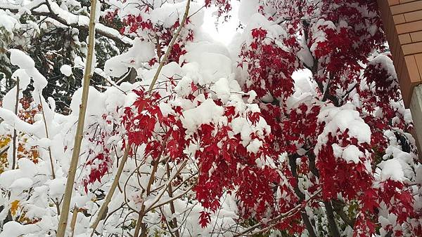 20161107_075458.jpg
