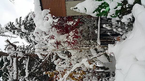 20161107_075027.jpg