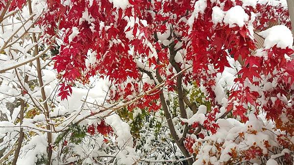 20161107_075543.jpg