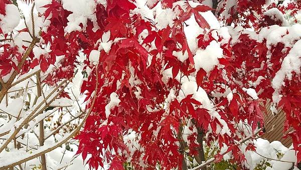 20161107_075611.jpg