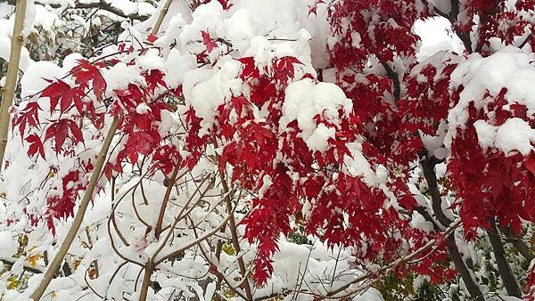 20161107_075601.jpg