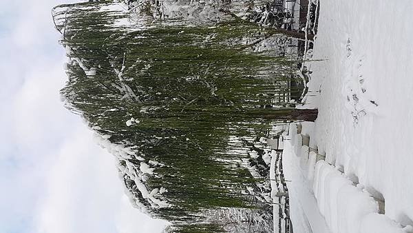 20161107_080047.jpg