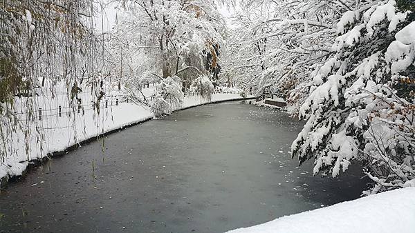 20161107_080251.jpg