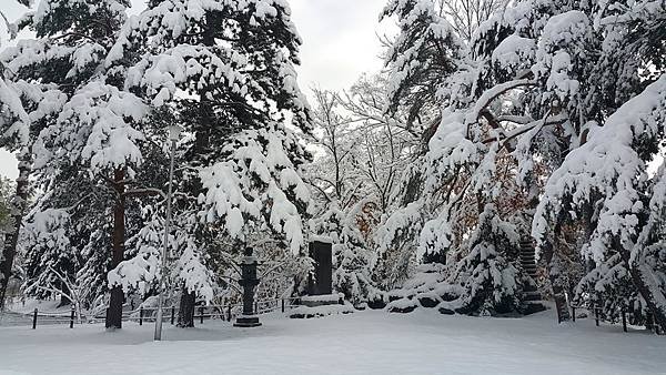 20161107_080351.jpg