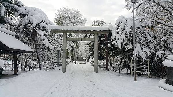 20161107_080404.jpg