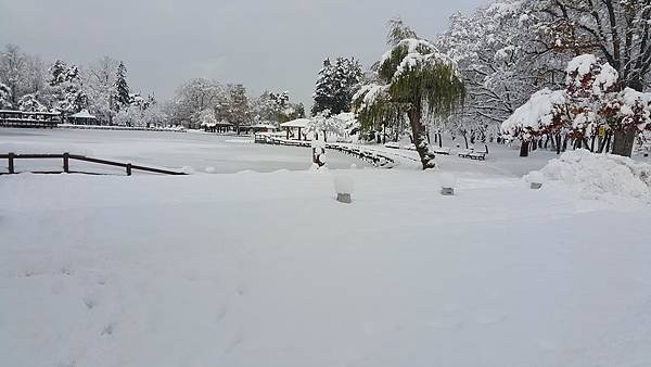 20161107_082238.jpg
