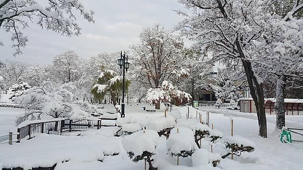 20161107_082159.jpg