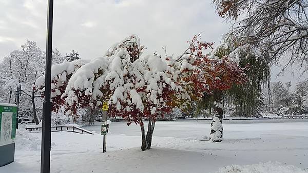 20161107_082356.jpg