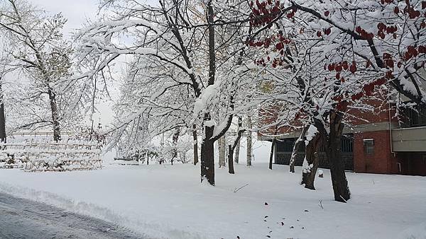20161107_082454.jpg