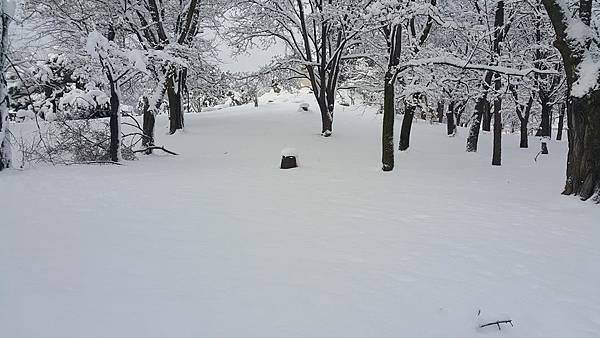 20161107_082451.jpg