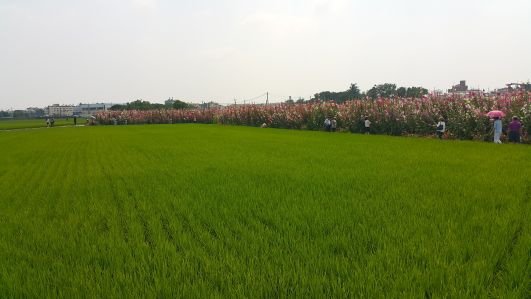 20170409_140400.jpg
