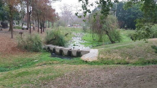 20170326_171247.jpg