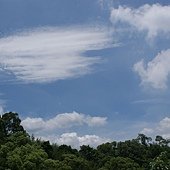 DSC03775.JPG
