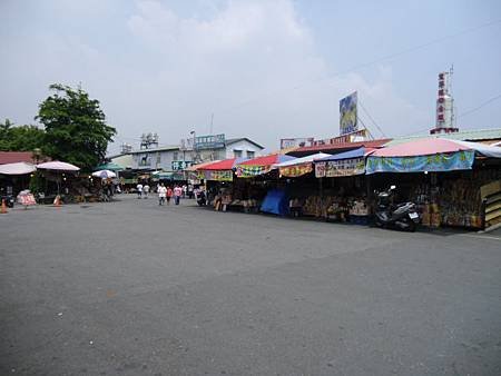 CIMG7855.JPG