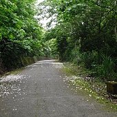 tn_CIMG2477-1